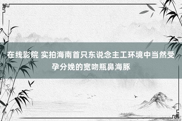 在线影院 实拍海南首只东说念主工环境中当然受孕分娩的宽吻瓶鼻海豚