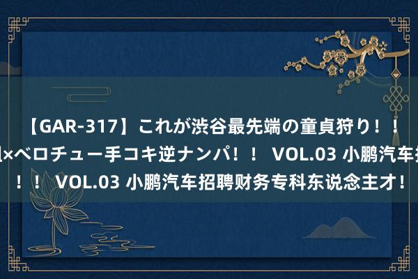 【GAR-317】これが渋谷最先端の童貞狩り！！ 超ド派手ギャル5人組×ベロチュー手コキ逆ナンパ！！ VOL.03 小鹏汽车招聘财务专科东说念主才！