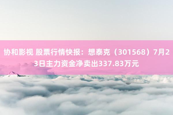 协和影视 股票行情快报：想泰克（301568）7月23日主力资金净卖出337.83万元