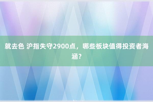 就去色 沪指失守2900点，哪些板块值得投资者海涵？