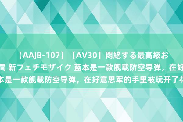 【AAJB-107】【AV30】悶絶する最高級おっぱい生々しい性交 4時間 新フェチモザイク 蓝本是一款舰载防空导弹，在好意思军的手里被玩开了花