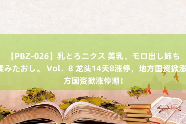 【PBZ-026】乳とろニクス 美乳、モロ出し姉ちゃん揉みたおし。 Vol．8 龙头14天8涨停，地方国资掀涨停潮！