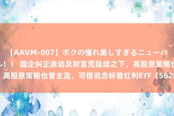 【AAVM-007】ボクの憧れ美しすぎるニューハーフ4時間18人スペシャル！！ 国企纠正激动及财富荒延续之下，高股息策略也曾主流，可借说念标普红利ETF（562060）一键布局