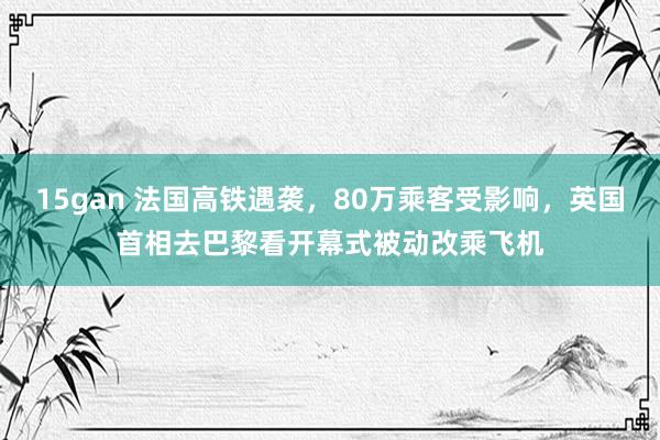 15gan 法国高铁遇袭，80万乘客受影响，英国首相去巴黎看开幕式被动改乘飞机