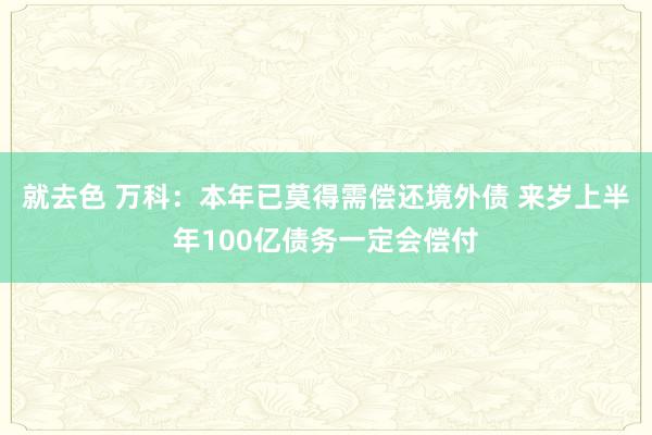 就去色 万科：本年已莫得需偿还境外债 来岁上半年100亿债务一定会偿付