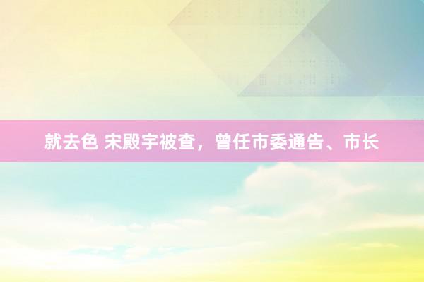 就去色 宋殿宇被查，曾任市委通告、市长