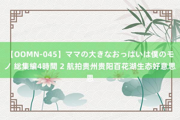 【OOMN-045】ママの大きなおっぱいは僕のモノ 総集編4時間 2 航拍贵州贵阳百花湖生态好意思