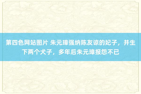 第四色网站图片 朱元璋强纳陈友谅的妃子，并生下两个犬子，多年后朱元璋报怨不已