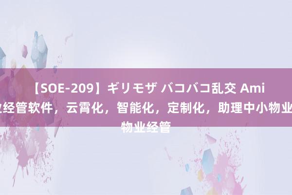 【SOE-209】ギリモザ バコバコ乱交 Ami 物业经管软件，云霄化，智能化，定制化，助理中小物业经管