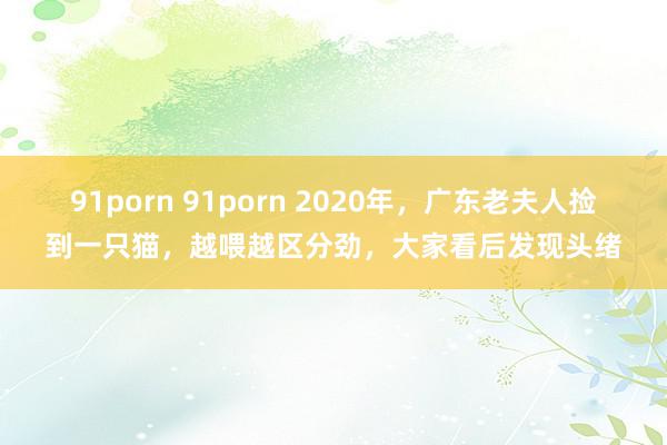 91porn 91porn 2020年，广东老夫人捡到一只猫，越喂越区分劲，大家看后发现头绪