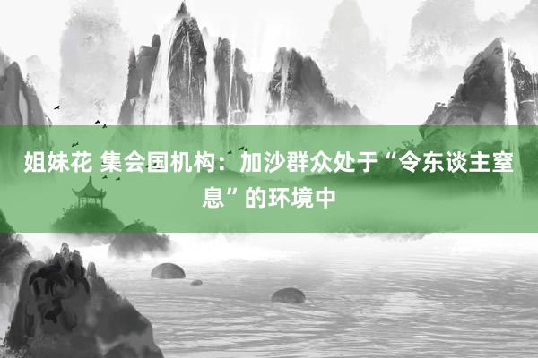 姐妹花 集会国机构：加沙群众处于“令东谈主窒息”的环境中