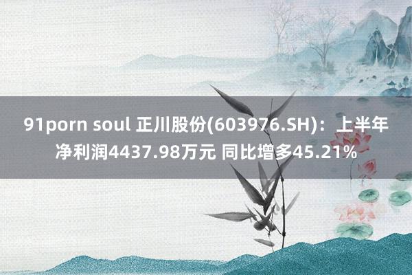 91porn soul 正川股份(603976.SH)：上半年净利润4437.98万元 同比增多45.21%